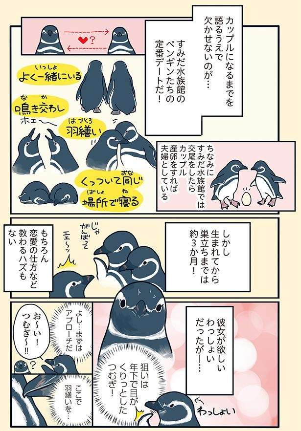 アツくて濃い関係のペンギンたち。中学生みたいな恋愛をする2羽から目が離せない！ ／下町ペンギン物語 11166647_615.jpg