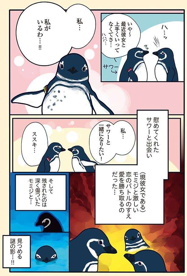 帰宅したら彼が他の女と...。飼育員は見た！ ペンギンたちの壮絶な修羅場バトル／下町ペンギン物語 11166823_615.jpg