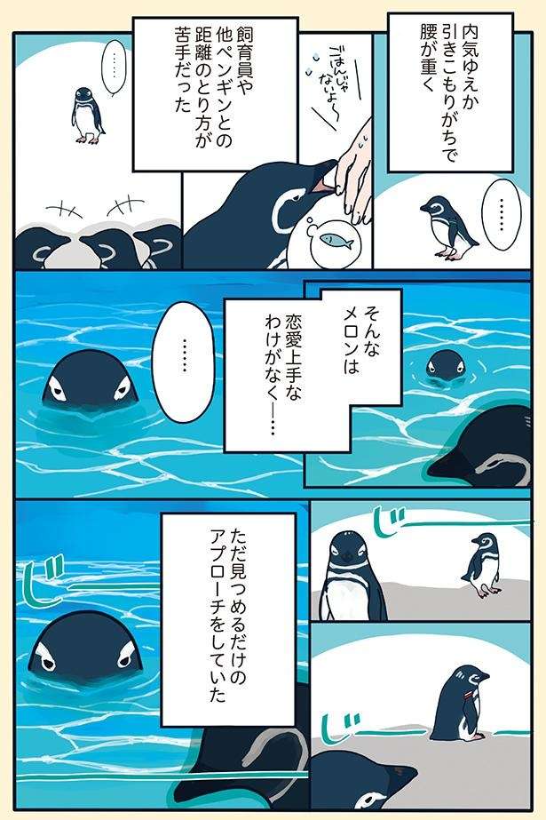 アプローチ方法は「2年も見つめるだけ」!? 超奥手な彼の超わかりにくい恋／下町ペンギン物語 11166847_615.jpg