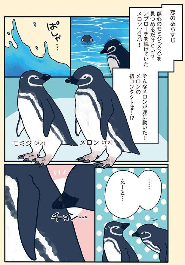 アプローチ方法は「2年も見つめるだけ」!? 超奥手な彼の超わかりにくい恋／下町ペンギン物語 11166849_615.jpg