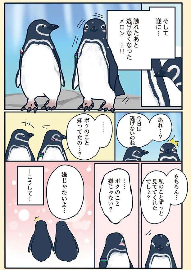 アプローチ方法は「2年も見つめるだけ」!? 超奥手な彼の超わかりにくい恋／下町ペンギン物語 11166851_615.jpg