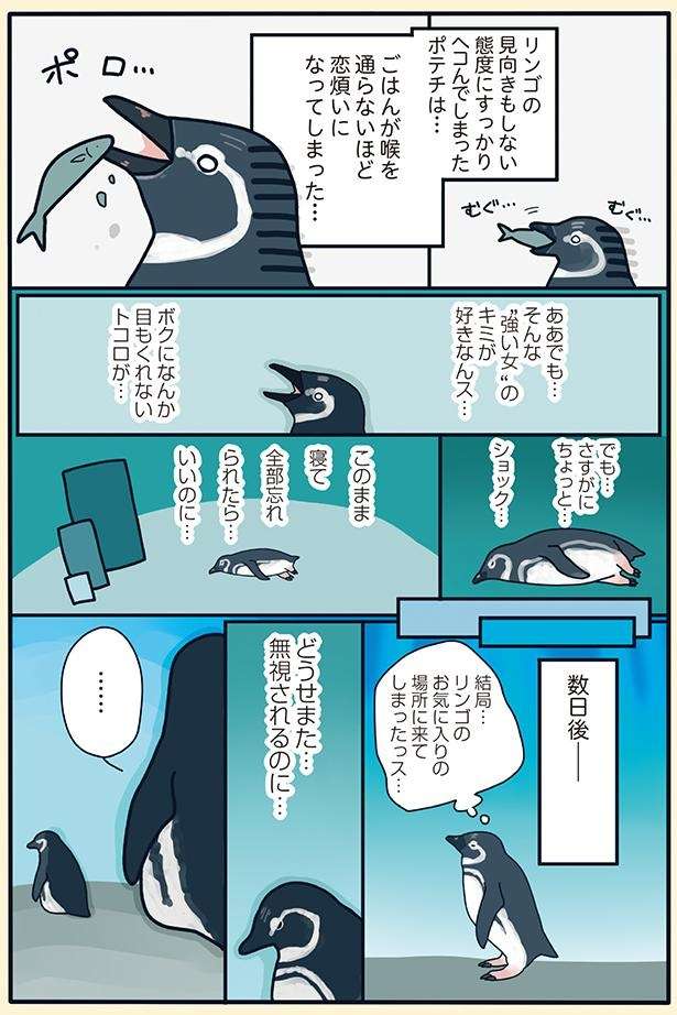 強くてヤンキーなペンギン夫婦の純愛物語。何度アプローチしてもフル無視だったが／下町ペンギン物語 11166889_615.jpg