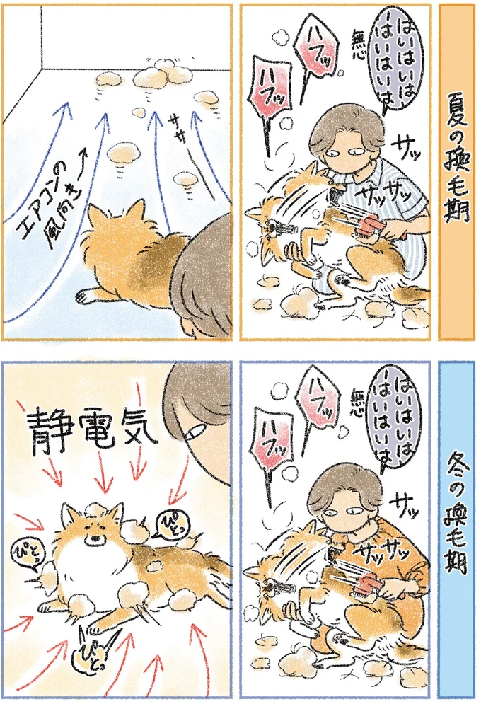 「つい...」愛犬の「この姿」がかわいすぎて、飼い主がやってしまうこと／犬を揉む 12.png