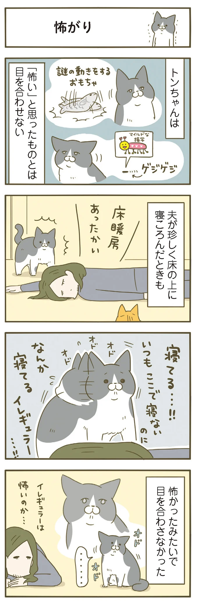 『うちの猫がまた変なことしてる。』 11646426.webp