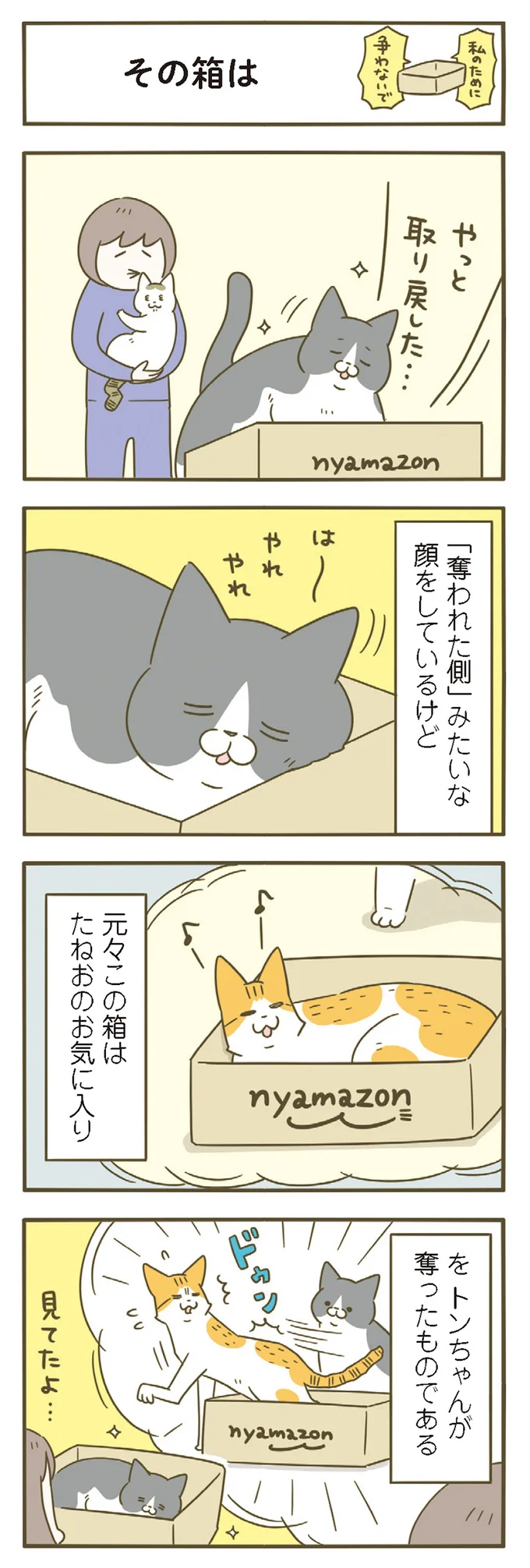 『うちの猫がまた変なことしてる。』 11646433.webp