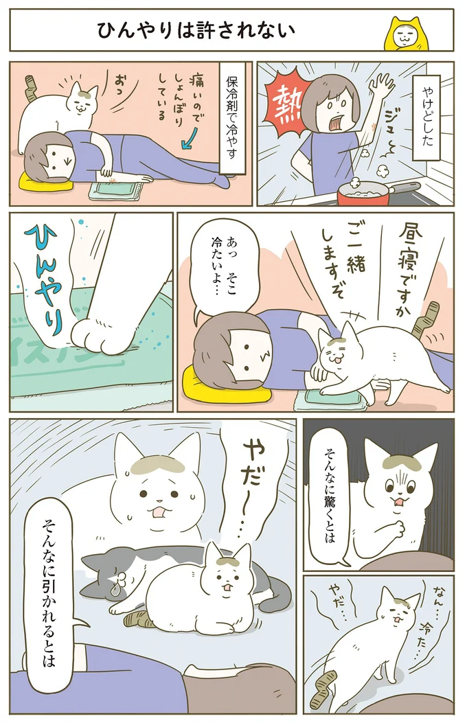 『うちの猫がまた変なことしてる。』 11646435.webp