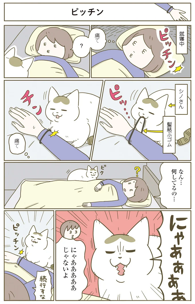 『うちの猫がまた変なことしてる。』 11646440.webp