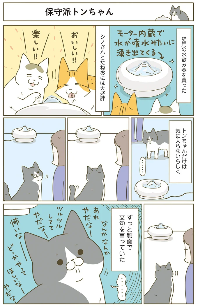 うちの猫は、床に何か置いてあると「とりあえず乗る」。でもそれは...⁉／うちの猫がまた変なことしてる。7 11646441.webp