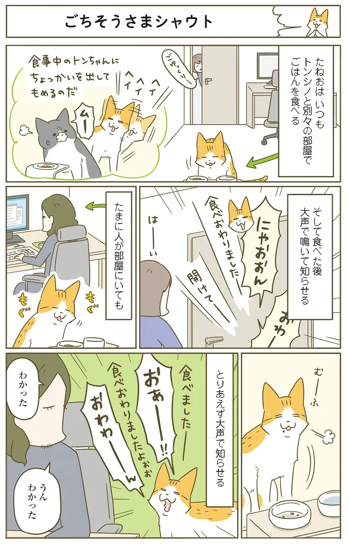 『うちの猫がまた変なことしてる。』 11646643.webp