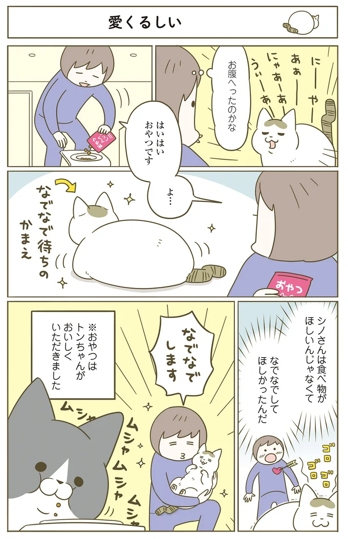 『うちの猫がまた変なことしてる。』 11646645.webp