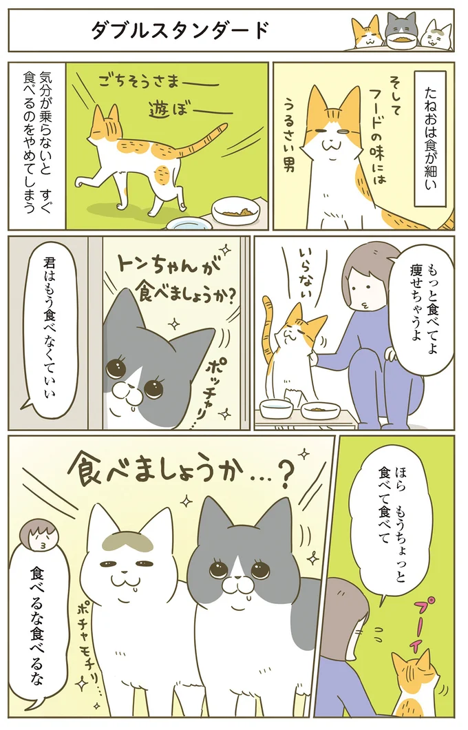 「食べましょうか...？」 食が細い愛猫のえさを狙うぽっちゃり同居猫2匹／うちの猫がまた変なことしてる。7 11646651.webp