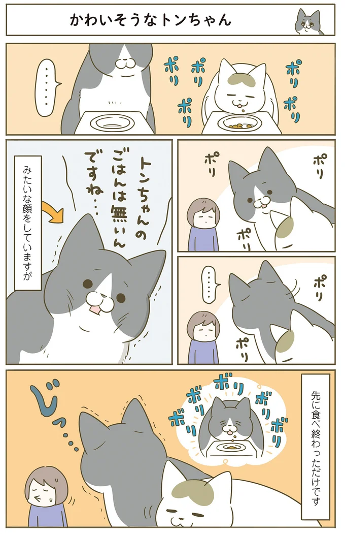 『うちの猫がまた変なことしてる。』 11646657.webp