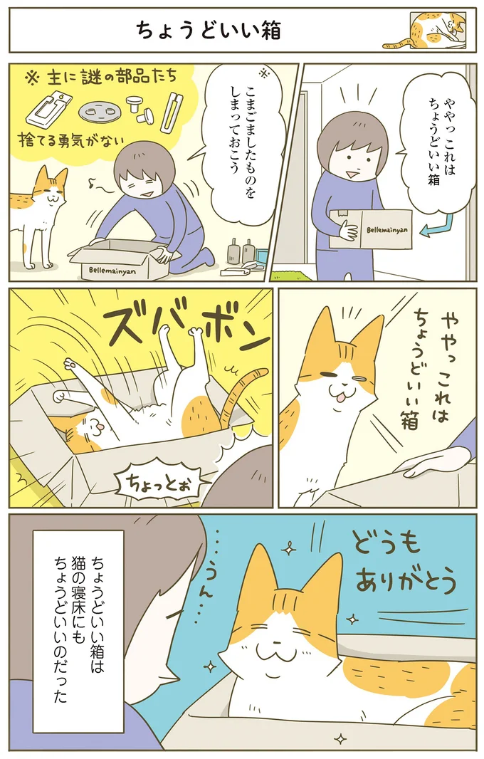 「ややっ これはちょうどいい箱」。そんな段ボールは愛猫にも好評で／うちの猫がまた変なことしてる。7 11646660.webp