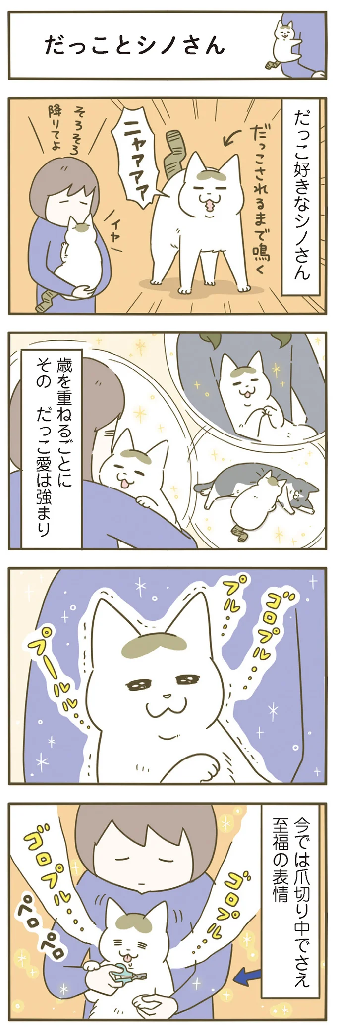 『うちの猫がまた変なことしてる。』 11646661.webp