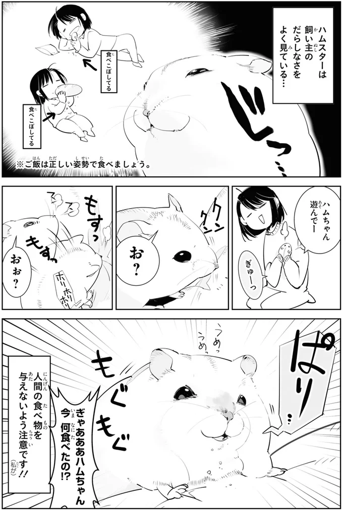 ぎゃああ...! 飼い主の胸に抱かれたハムスターが狙っていた「もの」は/はむはむづくし 18-02.png