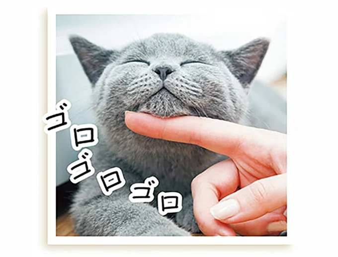 猫も人も癒される！ ゴロゴロ音は「満足してる」のメッセージ／猫と幸せに暮らすための教科書 11789940.png