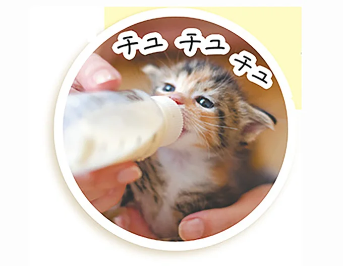 子猫に牛乳は厳禁!? ミルクもフードも子猫専用のものを与えよう／猫と幸せに暮らすための教科書 11790034.png