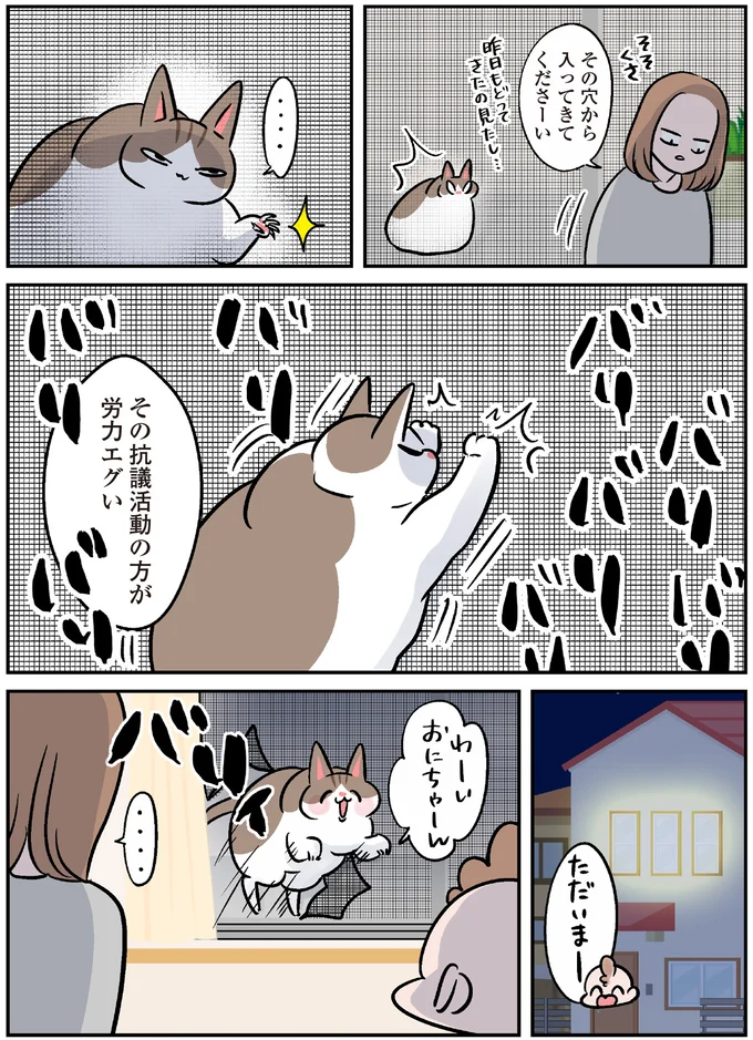 網戸を破り「どやぁ」ベランダ好きなモンペ猫の暴挙／マジレス幼児とモンペ猫 119.webp