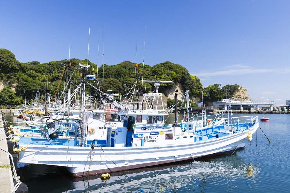 1泊2日で茨城のレジャーやグルメを堪能！絶品海鮮に日本トップクラスの水族館、海釣りデビューまで体験＜PR＞ 11940085_615.jpg