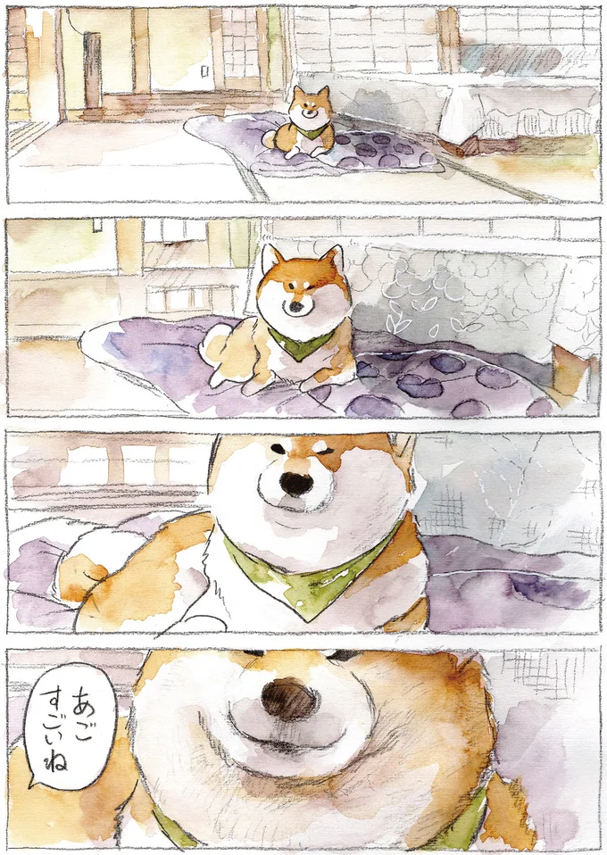 換毛期の柴犬。掃除する父vs毛を増産する柴犬の日常／柴犬ぽんちゃん、今日もわが道を行く２ 05-03.png