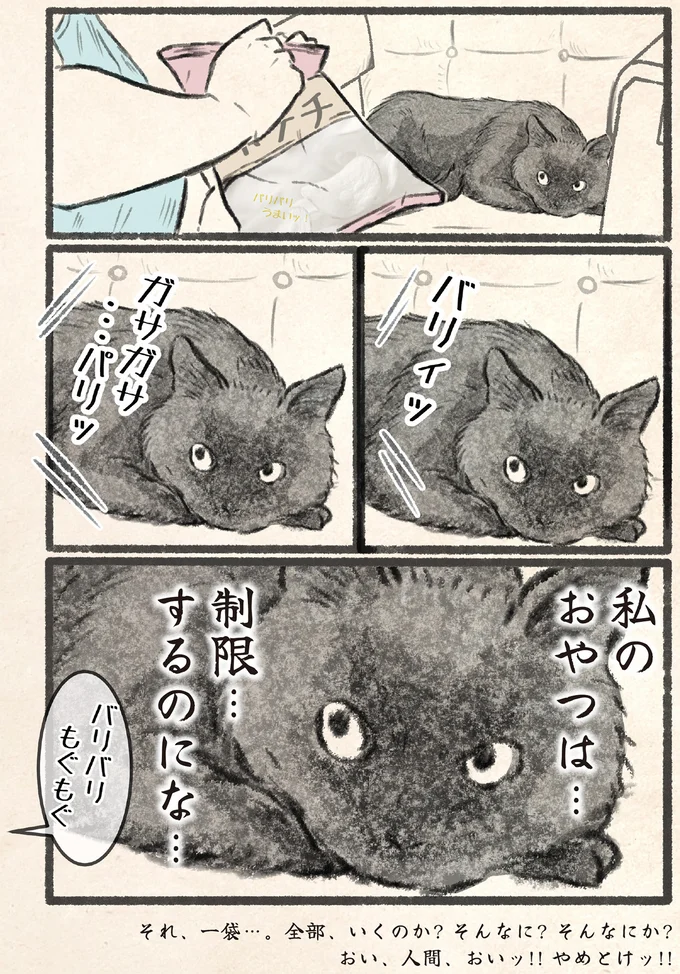 『今日もネコ様の圧が強い』 09-03.png