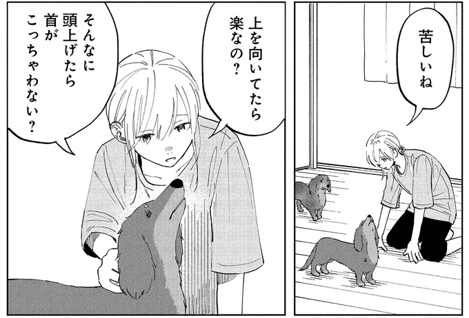 17年一緒だった愛犬が「余命1カ月」と診断された日。私にできることは...？／アルへ 01-05.webp