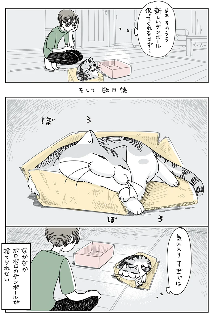 「気に入りすぎでは」愛猫がくつろぐ段ボール。こんな状態でもまだ...／夜は猫といっしょ 12026491.webp