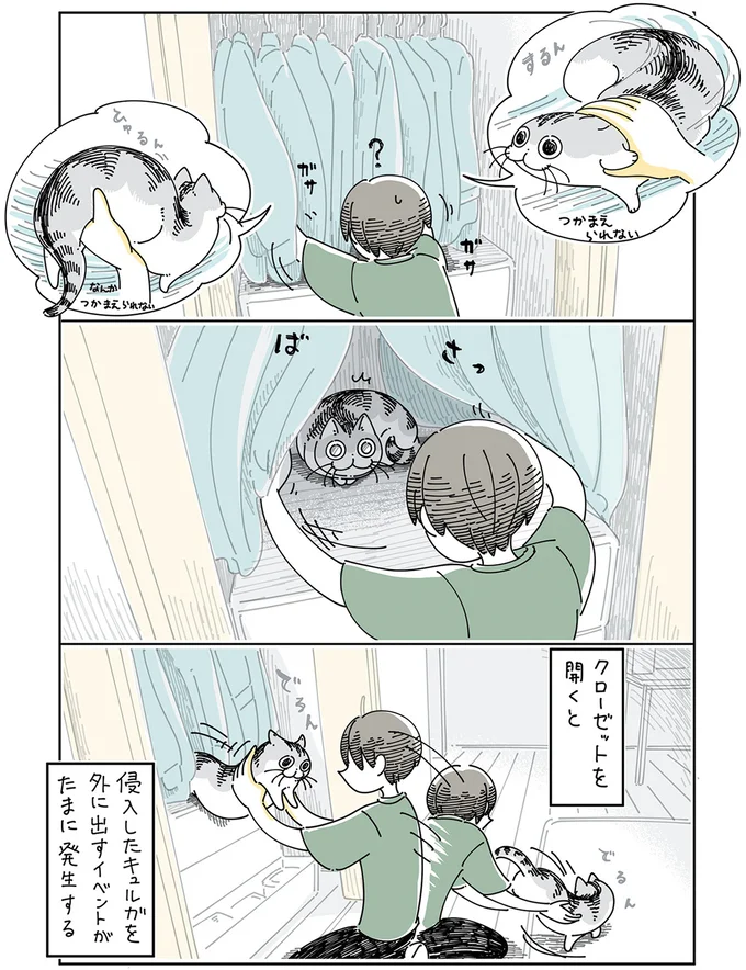 トトトト...猫がクローゼットを開けたことに気付いた。猫が中に入ると「こう」なる／夜は猫といっしょ 12026515.webp