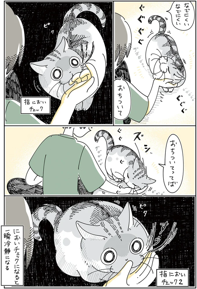 ぐぐぐ...ピタ。甘えてきた猫が突然「冷静になる瞬間」。ちょっと不思議な猫あるある／夜は猫といっしょ 12026719.webp