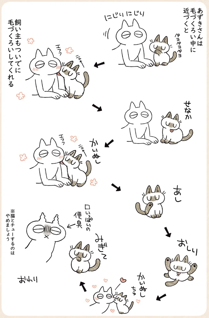 『シャム猫あずきさんは世界の中心』1〜2 05-04.png