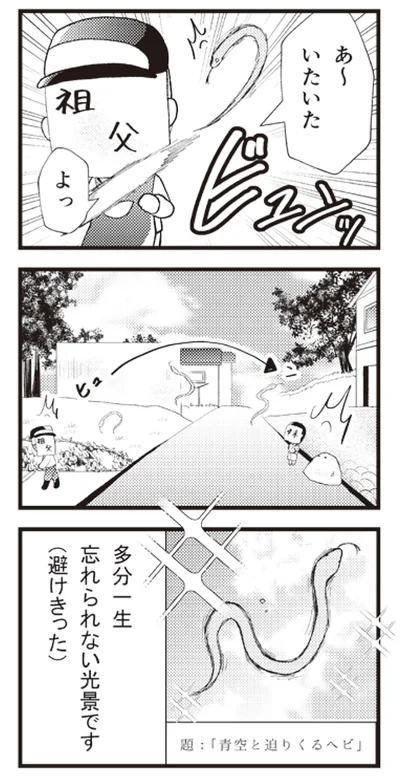 『日々限界集落』 14106210.webp