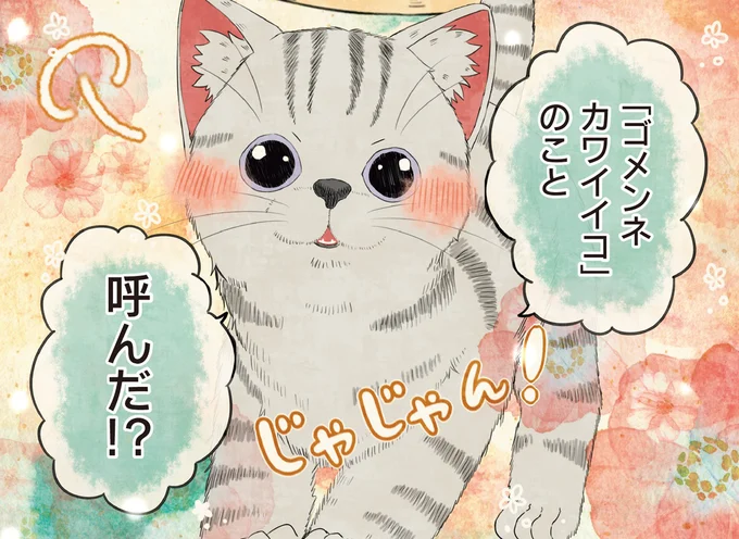 雨の中、独りだった子猫。優しい女性が最期に送った名前を天国で名乗りたい！／自分の名前を勘違いしている子