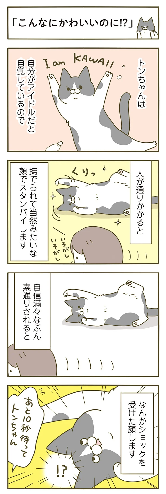 『うちの猫がまた変なことしてる。』 12514636.webp