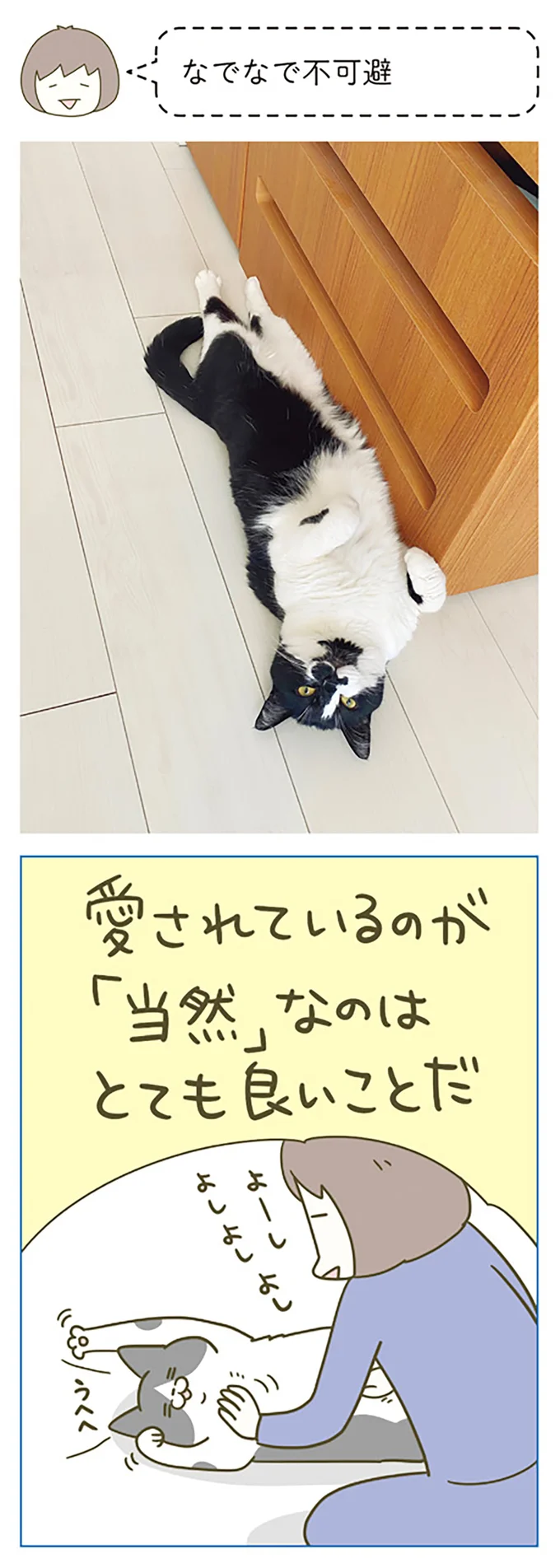 『うちの猫がまた変なことしてる。』 12514637.webp