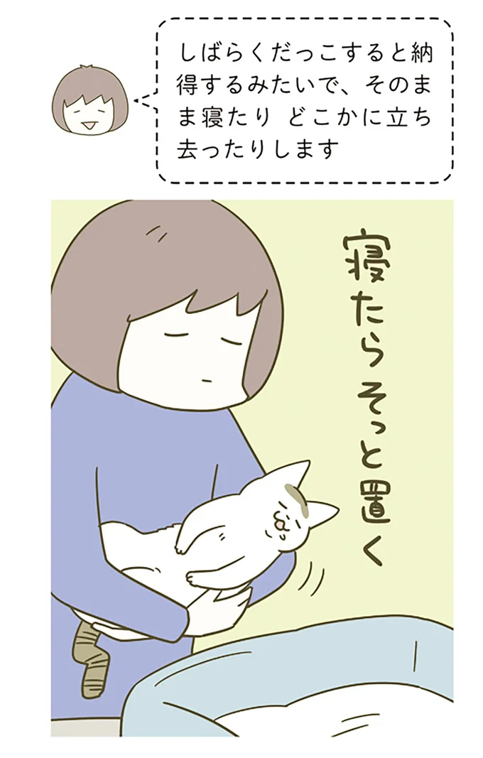 猫2匹で段ボールを巡る戦い。でも最終的に...かわいい！／うちの猫がまた変なことしてる。5 12517104.webp