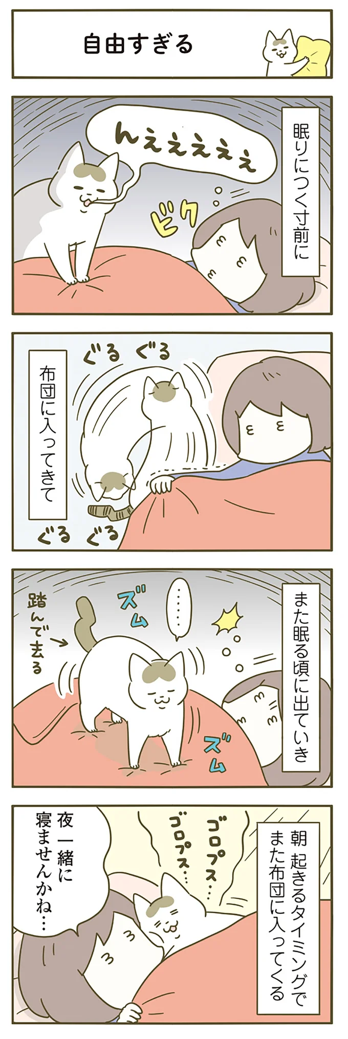 『うちの猫がまた変なことしてる。』 12517234.webp