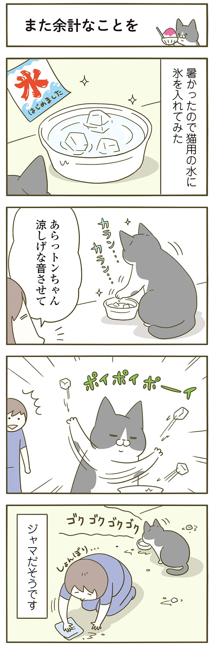 猫飼いたちがたぶんみんな身につけている「能力」。意外と切実／うちの猫がまた変なことしてる。5 12517266.webp