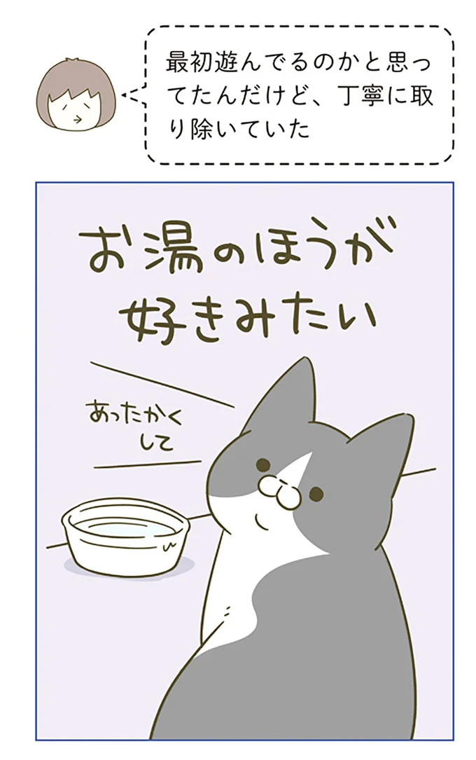 猫飼いたちがたぶんみんな身につけている「能力」。意外と切実／うちの猫がまた変なことしてる。5 12517267.webp