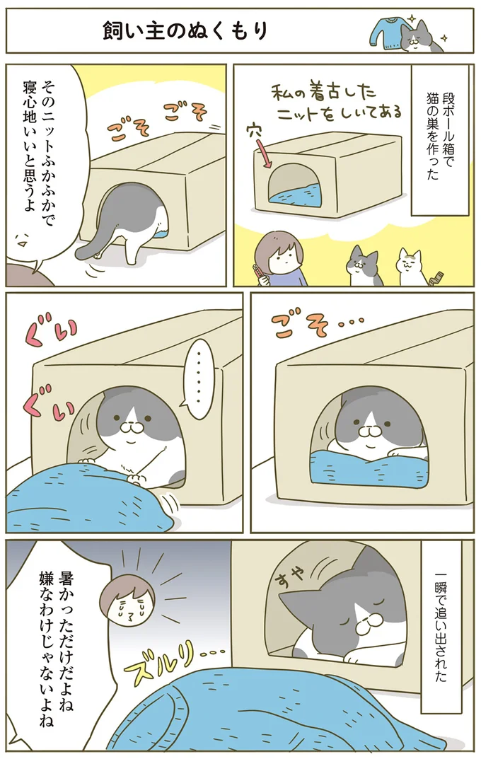 んーん...猫が「しばらく不在だった飼い主」と再会した時。なんとかわいい...！／うちの猫がまた変なことしてる。5 12517375.webp