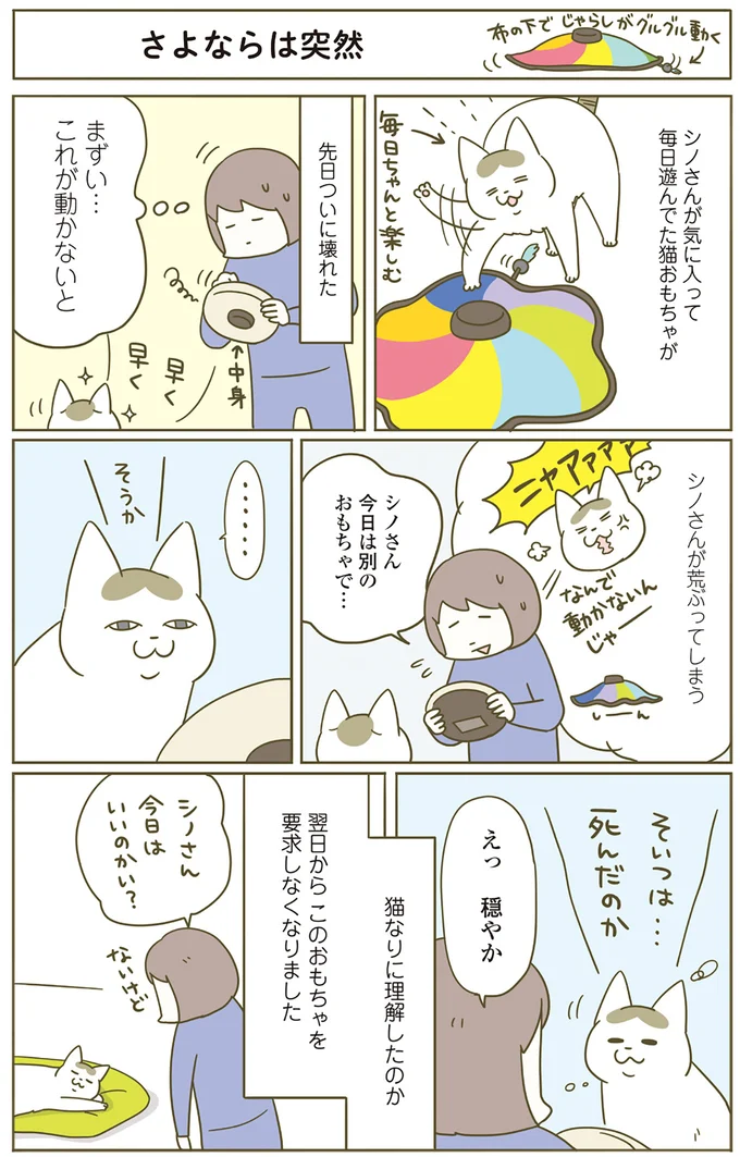 猫なりに理解した!? 毎日遊んでいたおもちゃが突然壊れたら...／うちの猫がまた変なことしてる。5 12517439.webp