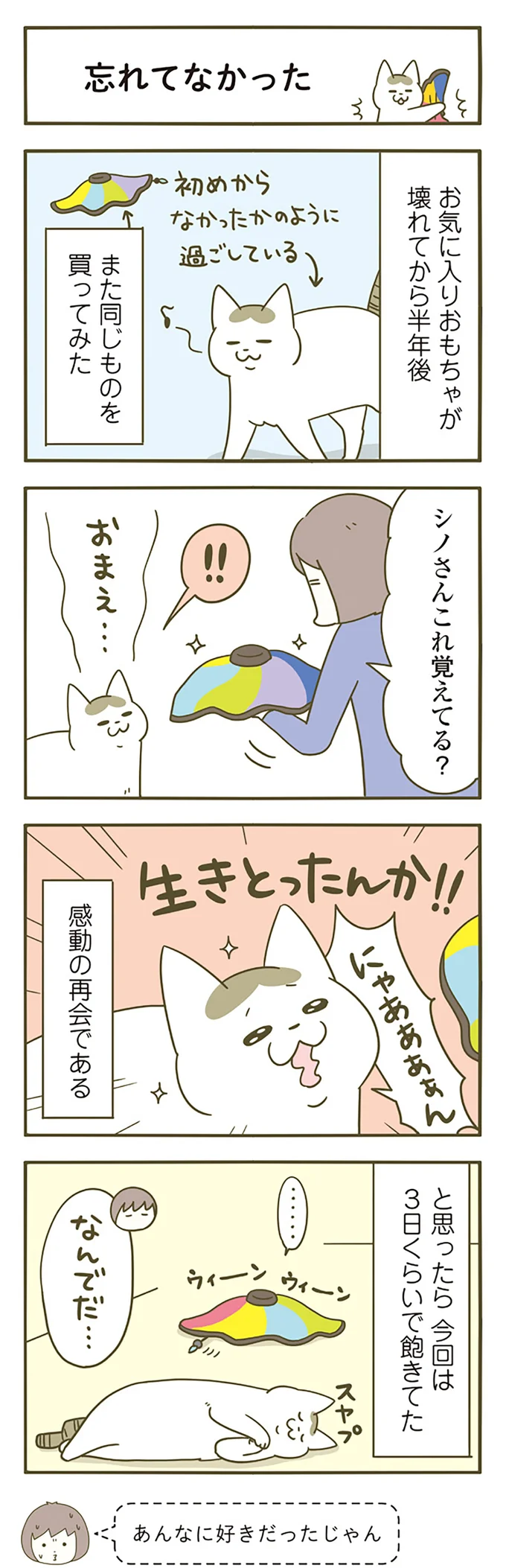 猫なりに理解した!? 毎日遊んでいたおもちゃが突然壊れたら...／うちの猫がまた変なことしてる。5 12517440.webp