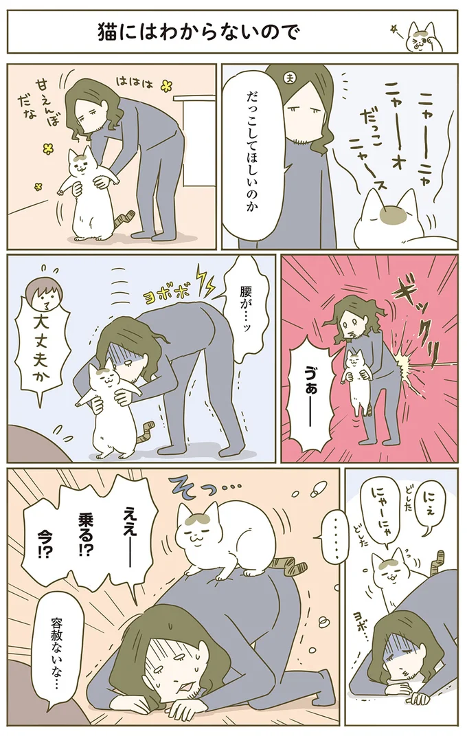 『うちの猫がまた変なことしてる。』 12554670.webp