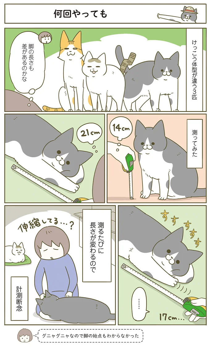 「なんのために？」うちの猫の謎の趣味。でもやたら満足そうな顔を...／うちの猫がまた変なことしてる。6 12555018.webp