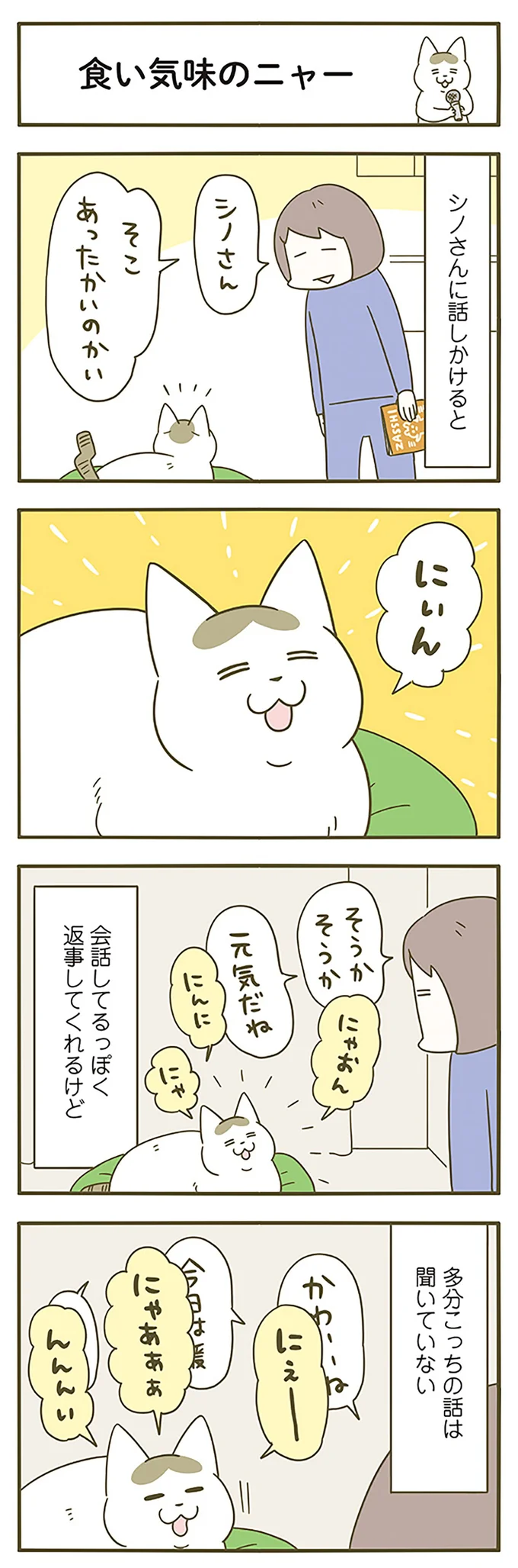 「なんのために？」うちの猫の謎の趣味。でもやたら満足そうな顔を...／うちの猫がまた変なことしてる。6 12555019.webp