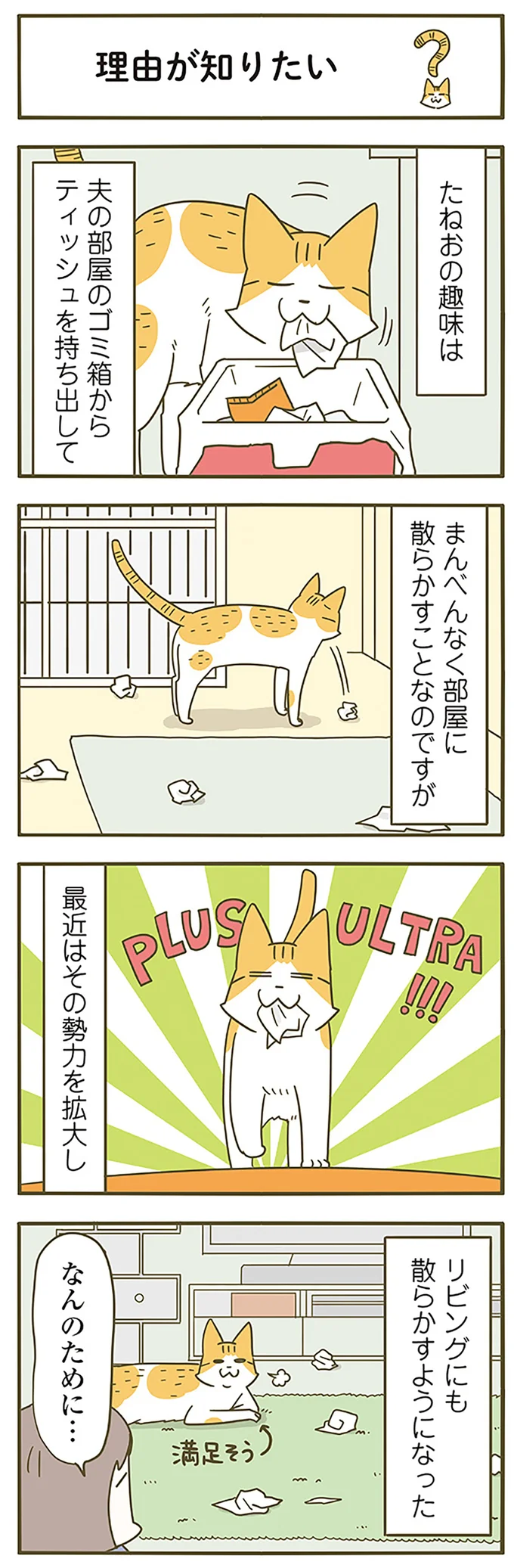 「なんのために？」うちの猫の謎の趣味。でもやたら満足そうな顔を...／うちの猫がまた変なことしてる。6 12555021.webp