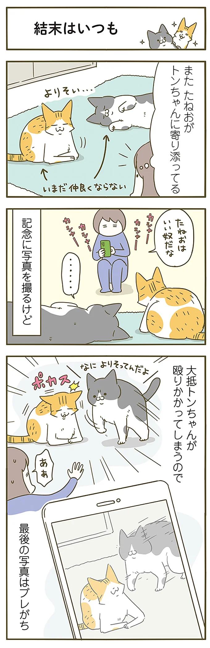 飼い主にドアを開けさせる愛猫。人がいない時は自分で開けられるくせに...／うちの猫がまた変なことしてる。6 12555064.webp