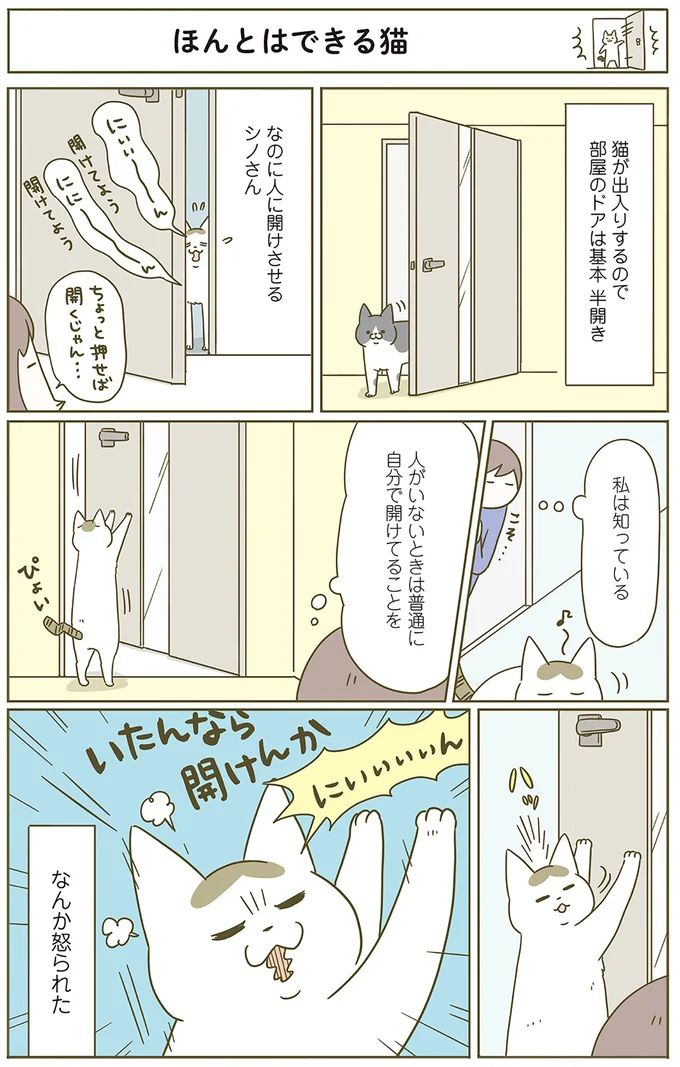 『うちの猫がまた変なことしてる。』 12555066.webp