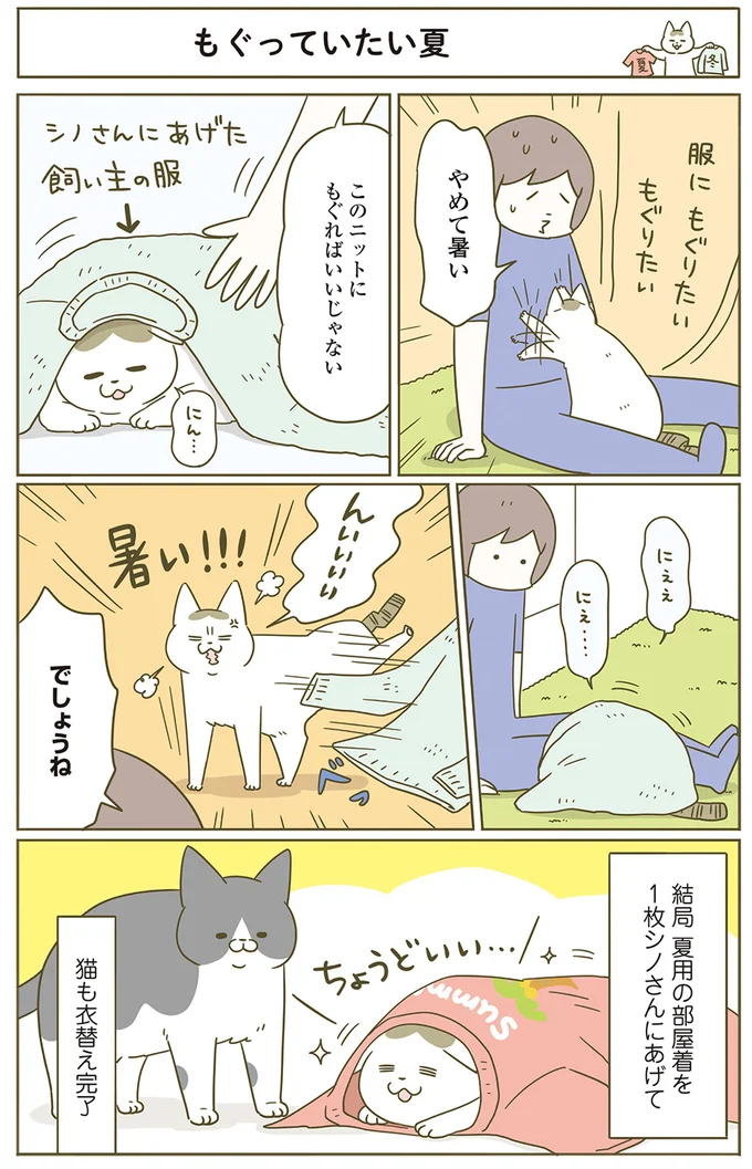 飼い主にドアを開けさせる愛猫。人がいない時は自分で開けられるくせに...／うちの猫がまた変なことしてる。6 12555067.webp