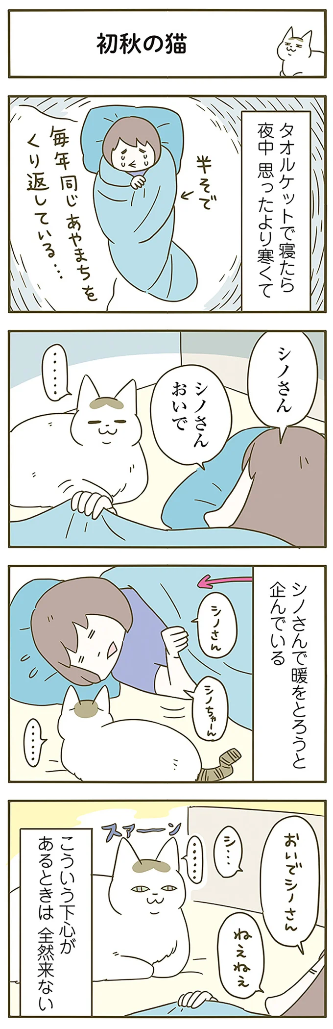 『うちの猫がまた変なことしてる。』 12555117.webp