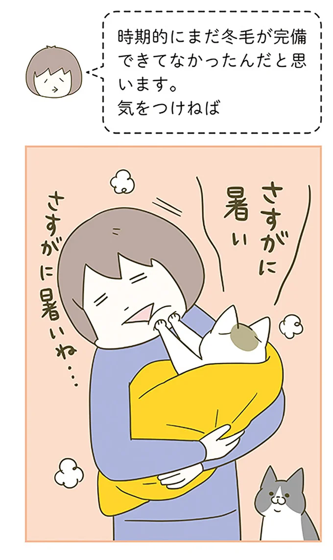 『うちの猫がまた変なことしてる。』 12555120.webp